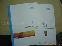 重庆市沙坪坝区喜玛图文制作室 一站式网络技术服务专家